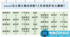 excel如何禁止修改表格