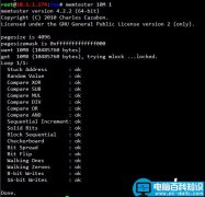 在Linux系统的服务器上使用Memtester进行内存压力测试