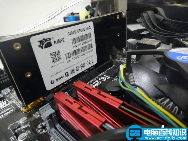 太阳花,SSD,测试