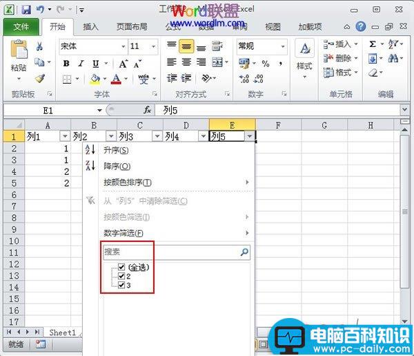 Excel2010,作表,筛选,功能,使用