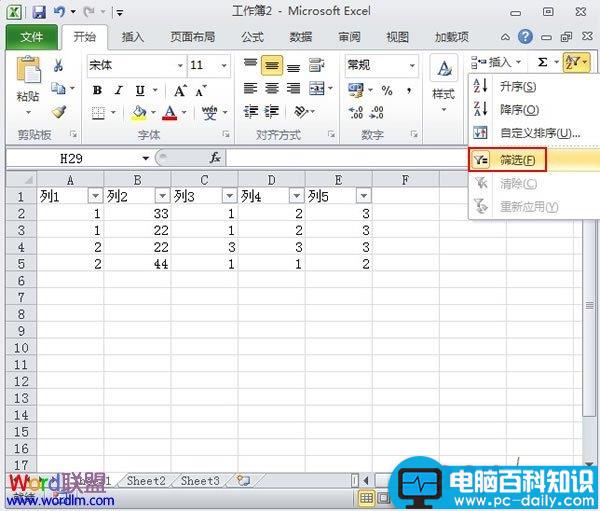 Excel2010,作表,筛选,功能,使用