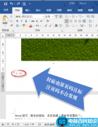 Word2016排版正文页码如何从1开始计数