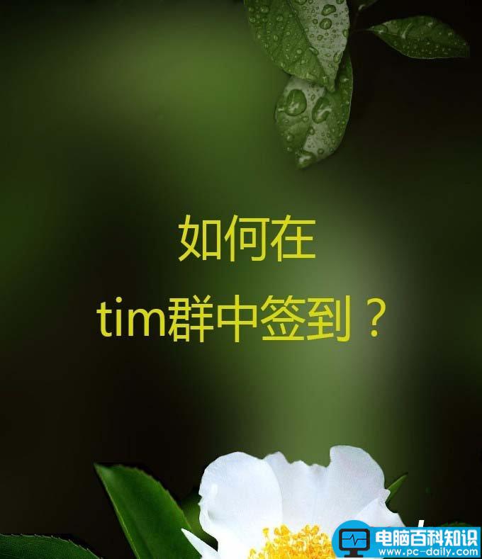 tim,签到