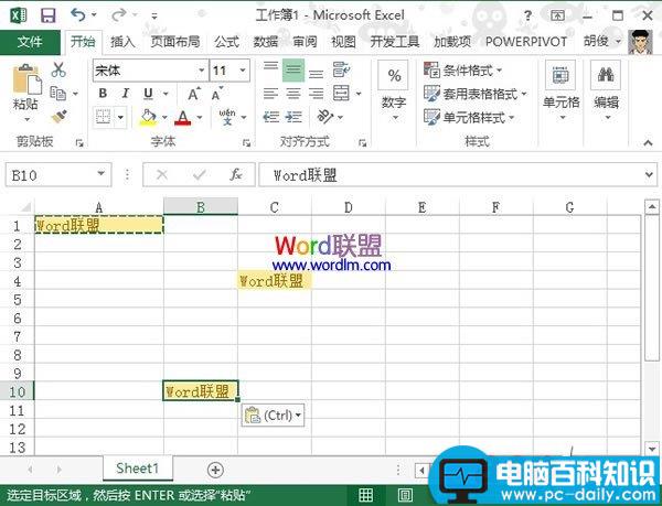 Excel,2013,单元格,复制,格式,变的,两种,方法