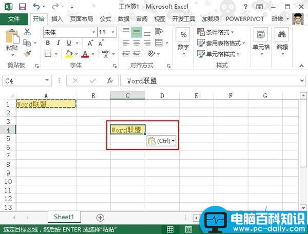 Excel,2013,单元格,复制,格式,变的,两种,方法