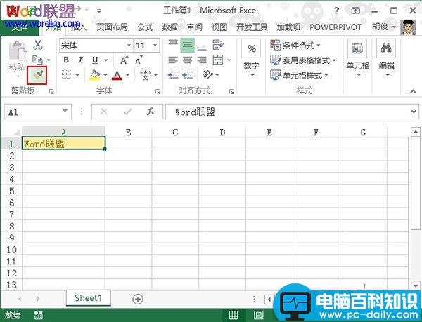 Excel,2013,单元格,复制,格式,变的,两种,方法