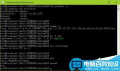 Win10 Build 14316启用Linux Bash 环境图文教程