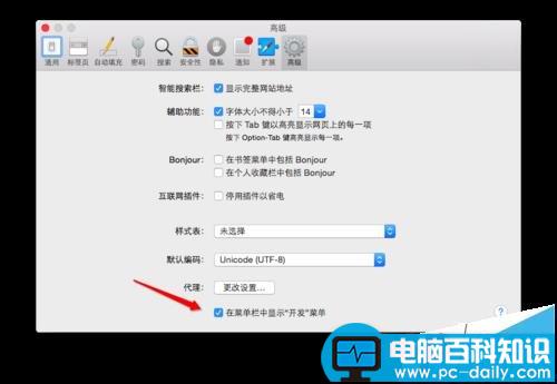 MAC,safari,开发者模式