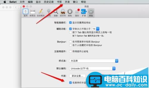 MAC,safari,开发者模式