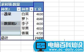 Excel2013,数据,透视,字段,分组