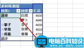 Excel2013,数据,透视,字段,分组