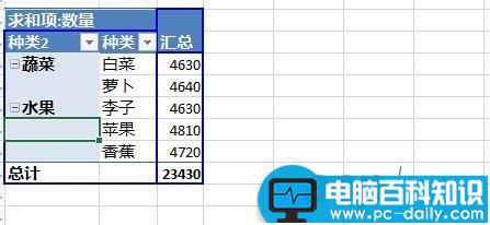 Excel2013,数据,透视,字段,分组