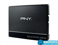 PNY发布2.5寸入门级SATA3固态盘:读写560MB/s