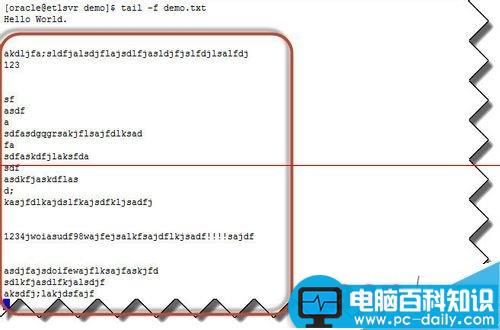 linux命令行大全,linux命令行,linux,命令行浏览器