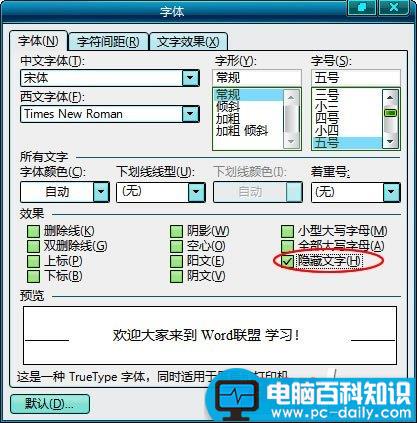 Word隐藏文字 让文档更安全！