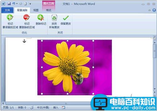 Word 2010去除图片背景技巧