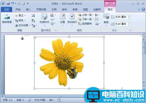 Word 2010去除图片背景技巧