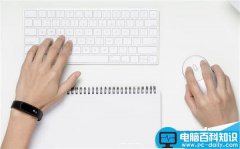 小米便携鼠标正式发布:可在两台电脑间一键切换
