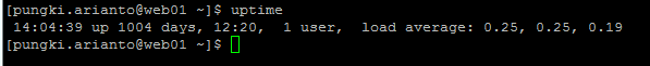 CentOS,Uptime