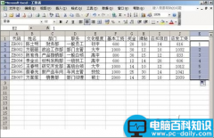 Excel简单制作工资条的方法