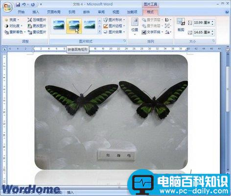 认识Word2007中的图形图片样式