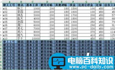 Excel批量插入表头教程