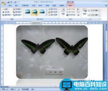 Word 2007基础：认识图形图片样式