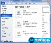 在Word2010文档窗口显示“开发工具”选项卡