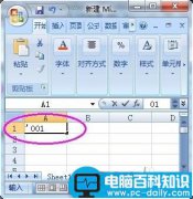 解决在Excel显示以0开头的数据