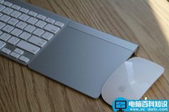 苹果新产品曝光 Magic Mouse鼠标和无线键盘即将发布