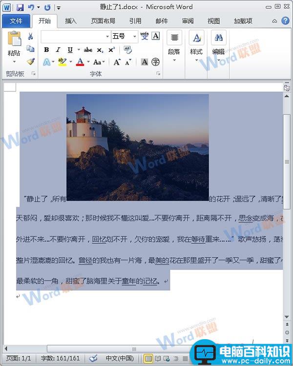 怎么把Word的内容以图片格式插入到Excel2010中？