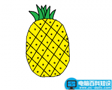 画图工具怎么画菠萝? 画图软件画菠萝的教程