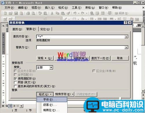 在Word2003中使用通配符进行模糊替换