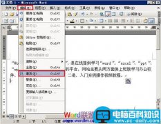 在Word2003中使用通配符进行模糊替换