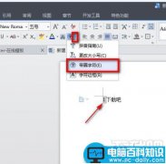 WPS文字怎么设置带圈文字输入方法