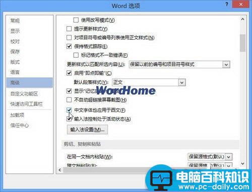 Word2013中怎样将中文字体也应用于西文