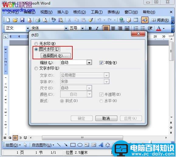 Word2003图片水印的添加方法