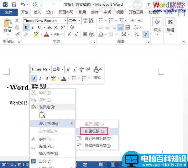 Word2013中文档折叠或展开部分内容