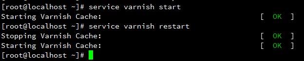 Centos,Varnish,启动失败