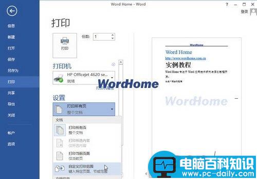 Word2013中怎样打印指定页码的文档