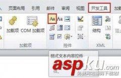 word2010中使用内容控件对输入位置进行提示