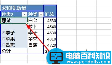 Excel教程 怎样设置数据透视表字段分组方法