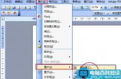 word2003、2007怎么插入图片