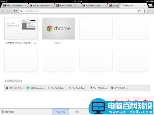 Chrome谷歌浏览器苹果iPad版界面细节体验(图文)