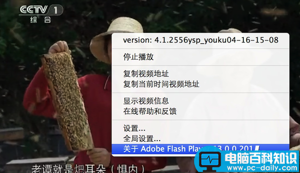 苹果电脑,Mac,Flash,Player,版本