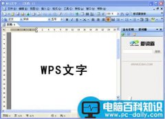 WPS Office 2007五大最受欢迎技巧