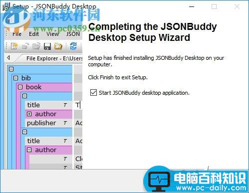 JSONBuddy,安装