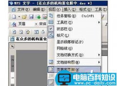 怎样用WPS去除Word水印