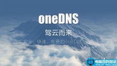 OneDNS 图文设置教程