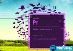 Premiere预览框在哪里? Premiere预览框处理视频的教程